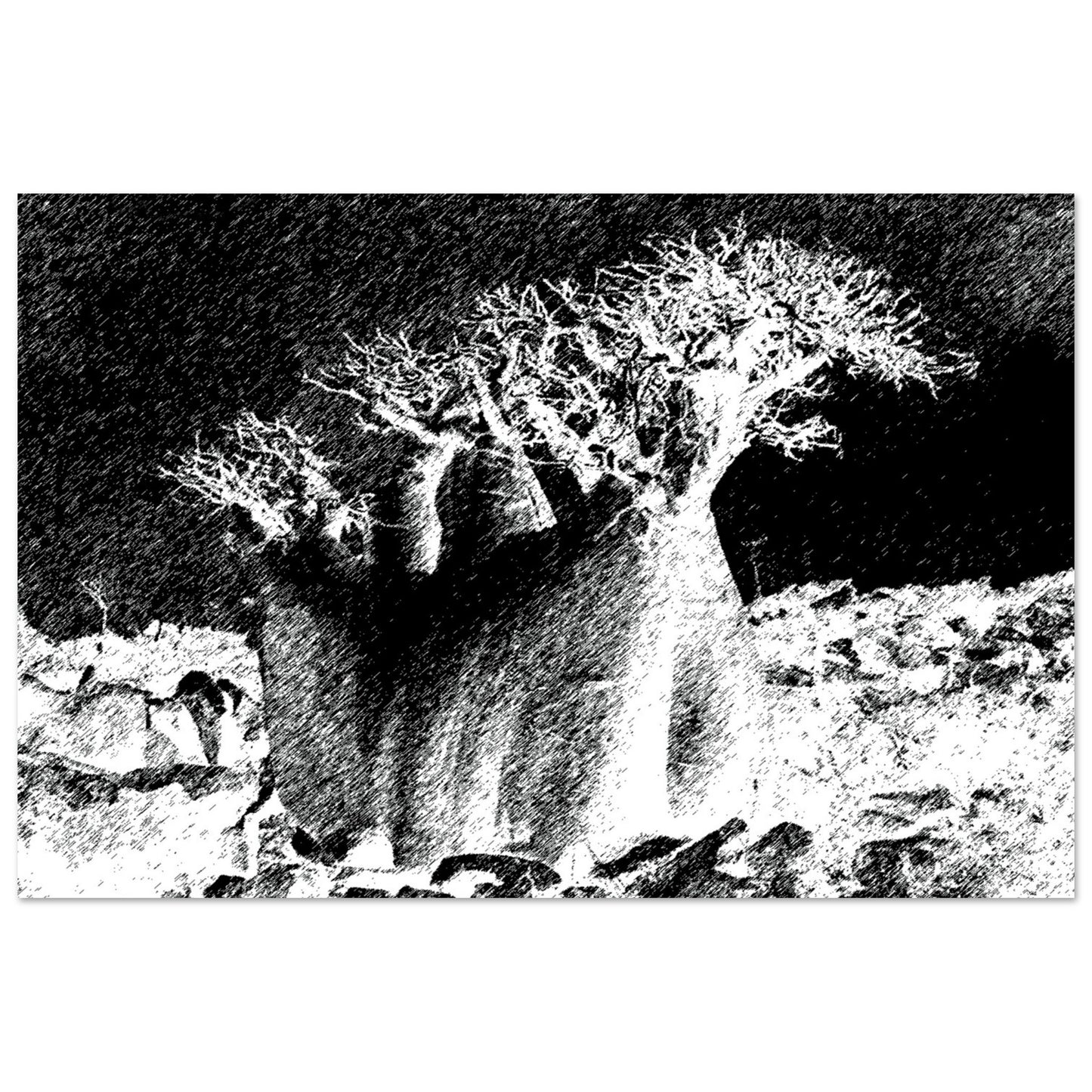 Black and White Photographic Print of Original Scratch Art. Strange Rootball Plant. by Allison Cartwright at Found Art Studio