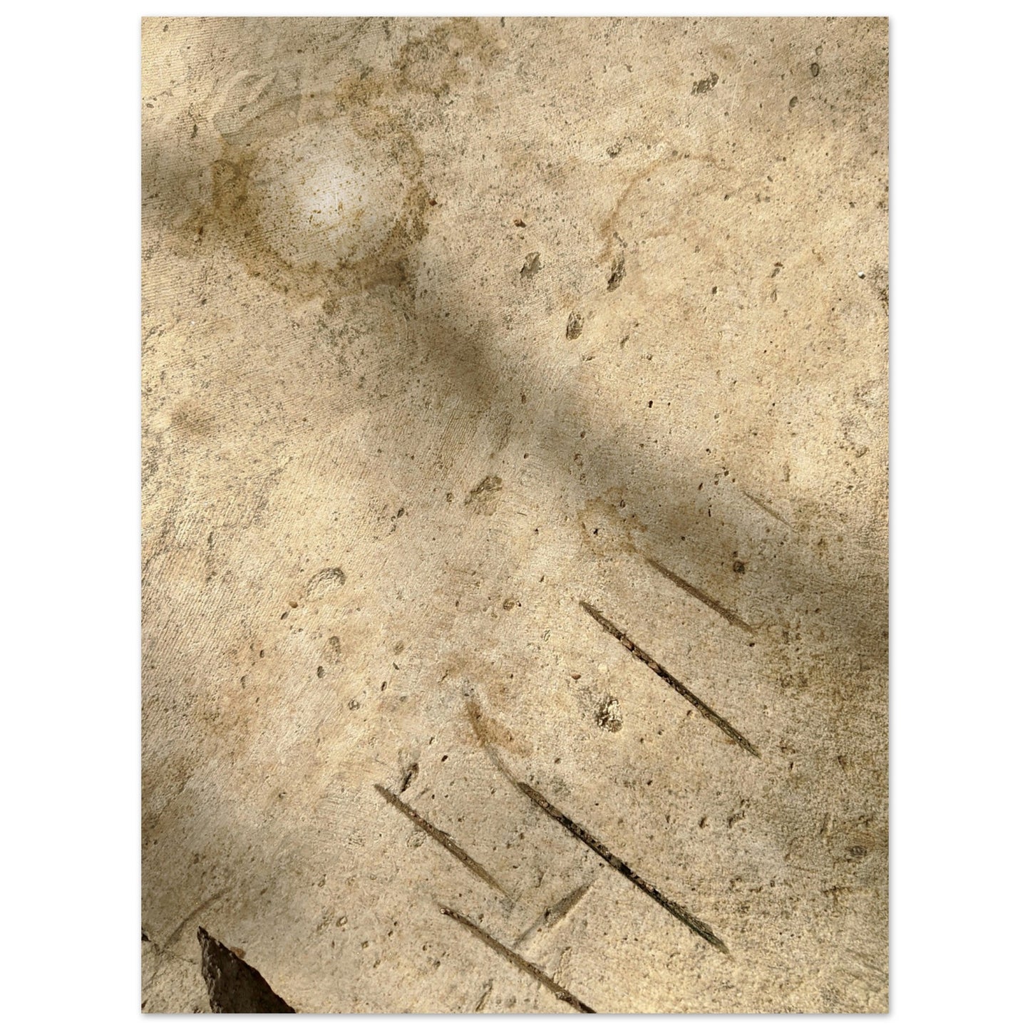 Photographic print featuring an abstract street pattern in tan, gold and brown by Allison Cartwright, Found Art Studio