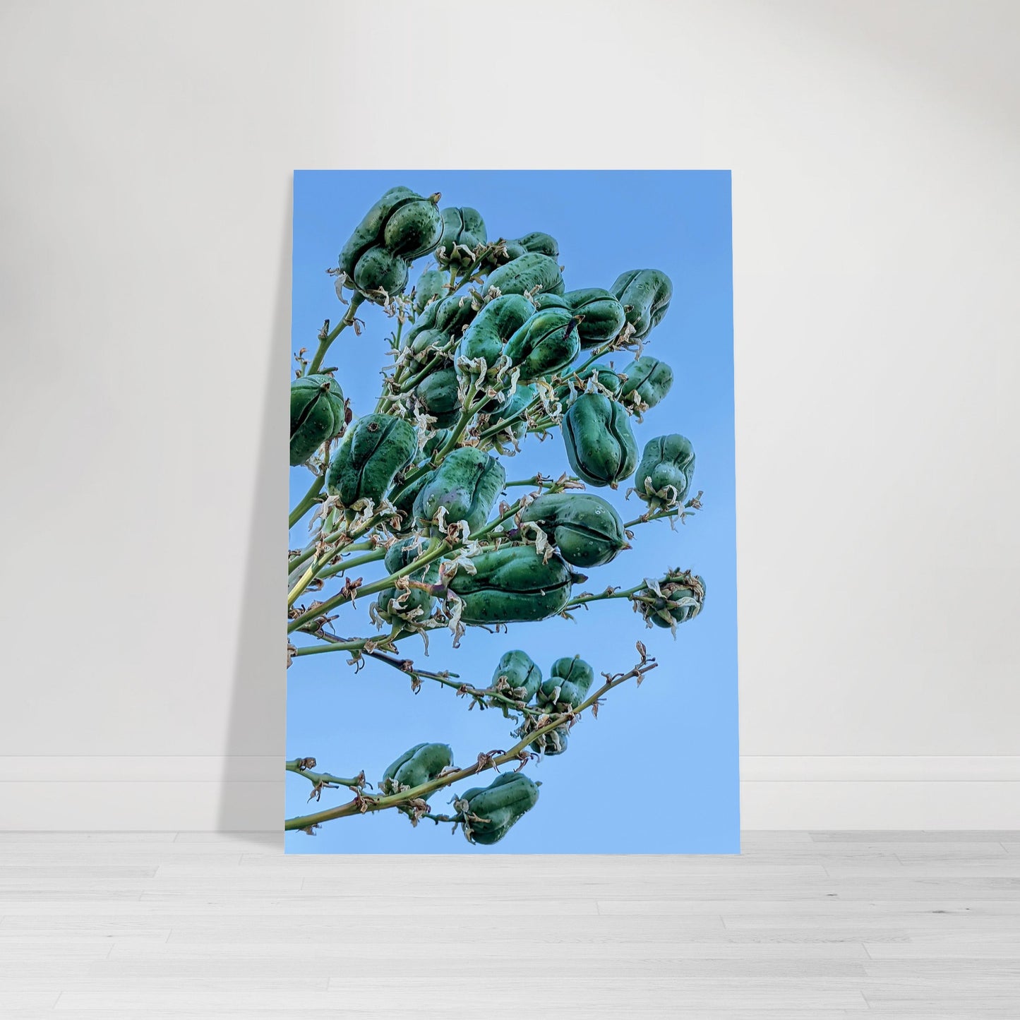 Blue and Green Photographic Print of abstract dead desert plant in Marfa Texas by Allison Cartwright at Found Art Studio.