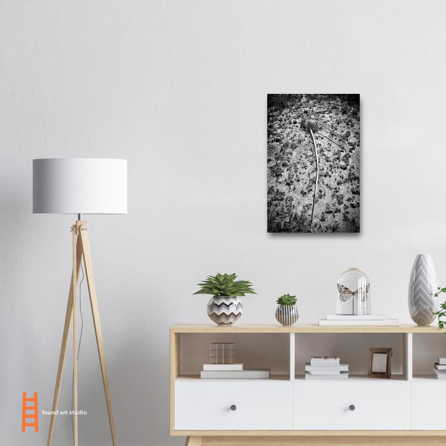 Black and White Photographic Print of abstract dead plant in Marfa Texas by Allison Cartwright at Found Art Studio.