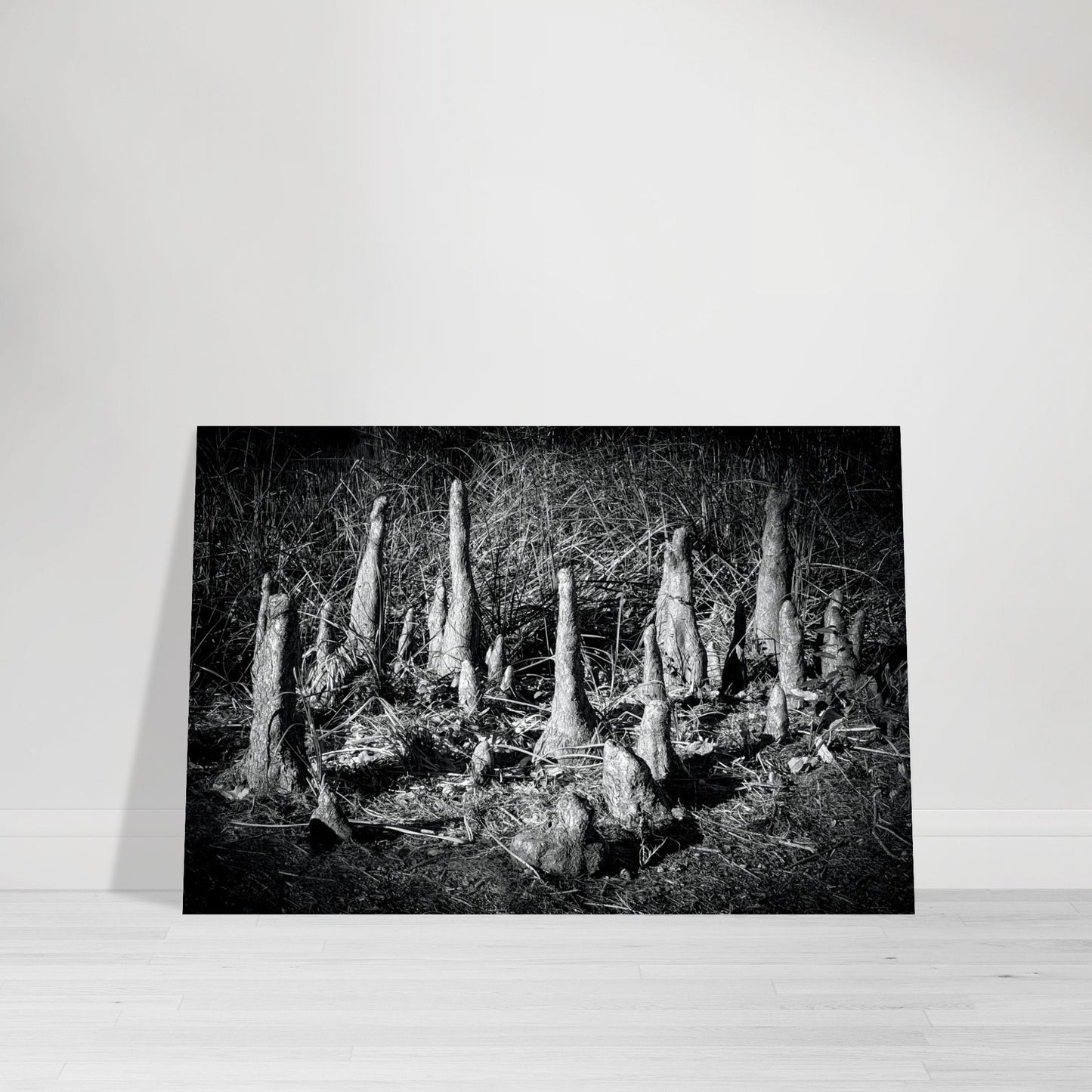 Black and White Photographic Print of abstract dead desert plant in Marfa Texas by Allison Cartwright at Found Art Studio.
