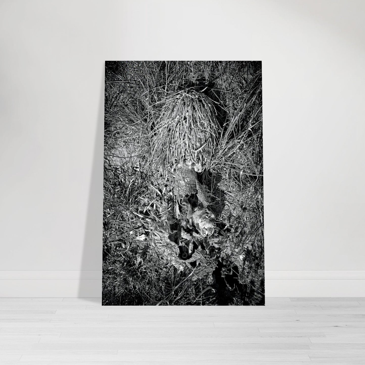 Black and White Photographic Print of abstract dead desert plant in Marfa Texas by Allison Cartwright at Found Art Studio.