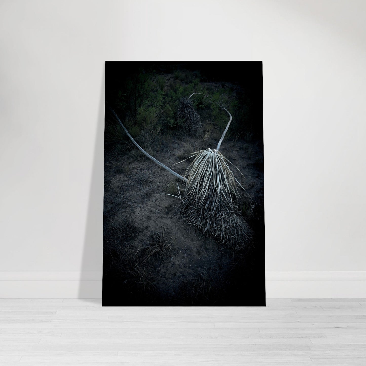 Black and White Photographic Print of abstract dead plant in Marfa Texas by Allison Cartwright at Found Art Studio.