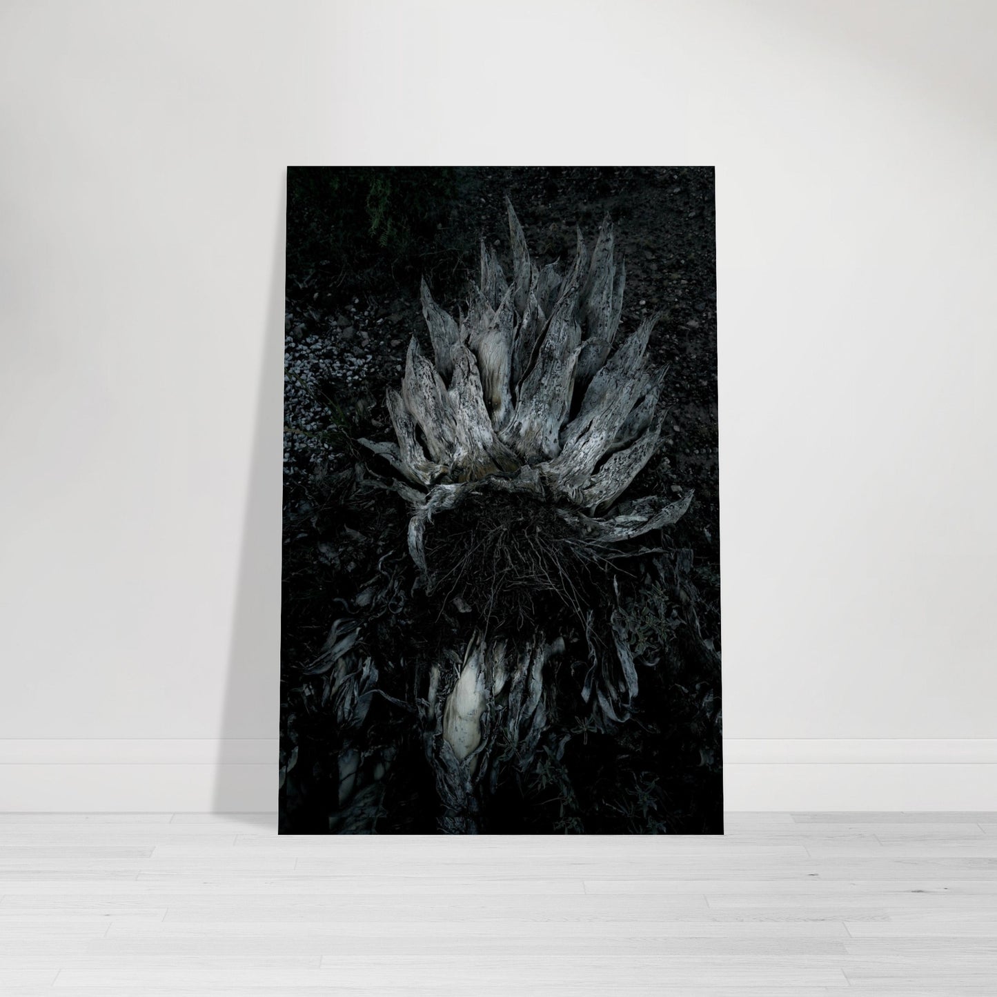 Black and White Photographic Print of abstract dead desert plant in Marfa Texas by Allison Cartwright at Found Art Studio.