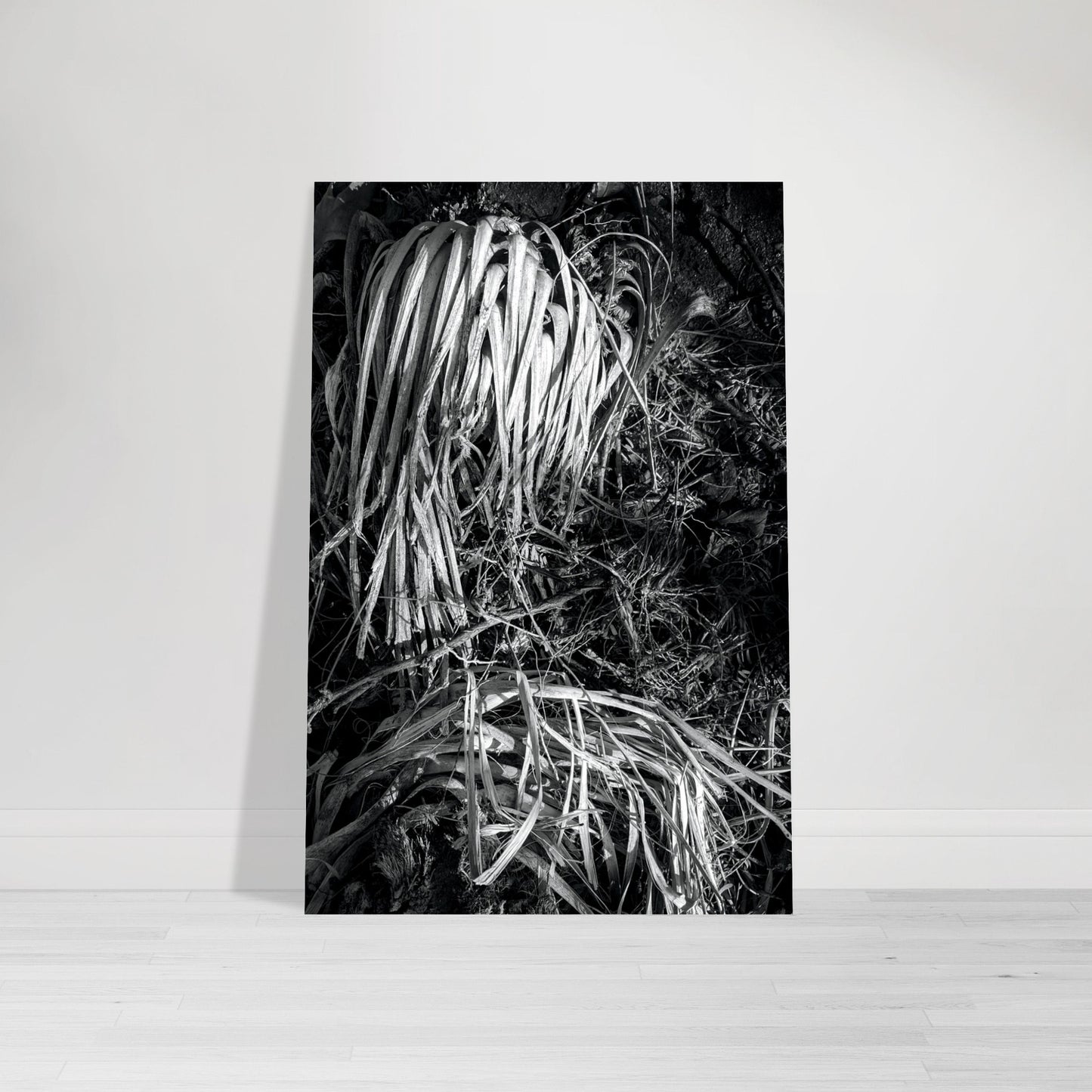 Black and White Photographic Print of abstract dead plant in Marfa Texas by Allison Cartwright at Found Art Studio