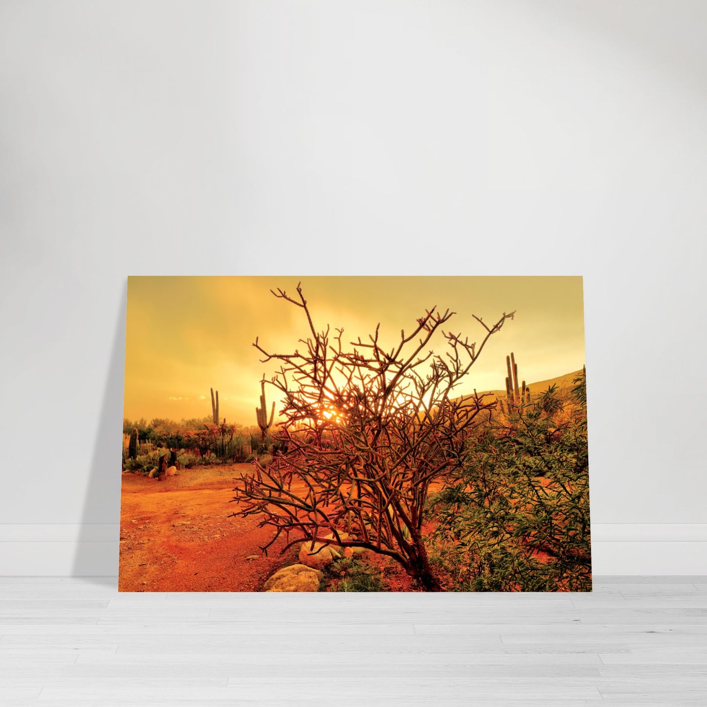 Photographic Print of Sunset in Tucson of Pencil Cactus in Green, Yellow and Orange by Allison Cartwright at Found Art Studio