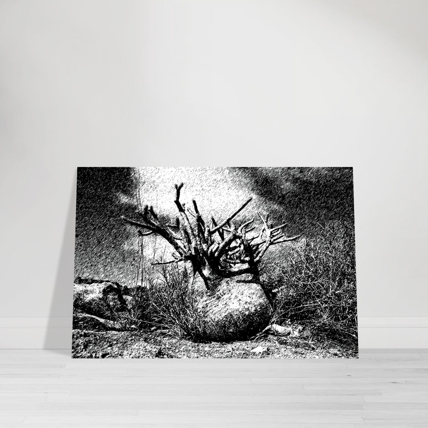 Black and White Photographic Print of Original Scratch Art. Strange Plant. by Allison Cartwright at Found Art Studio