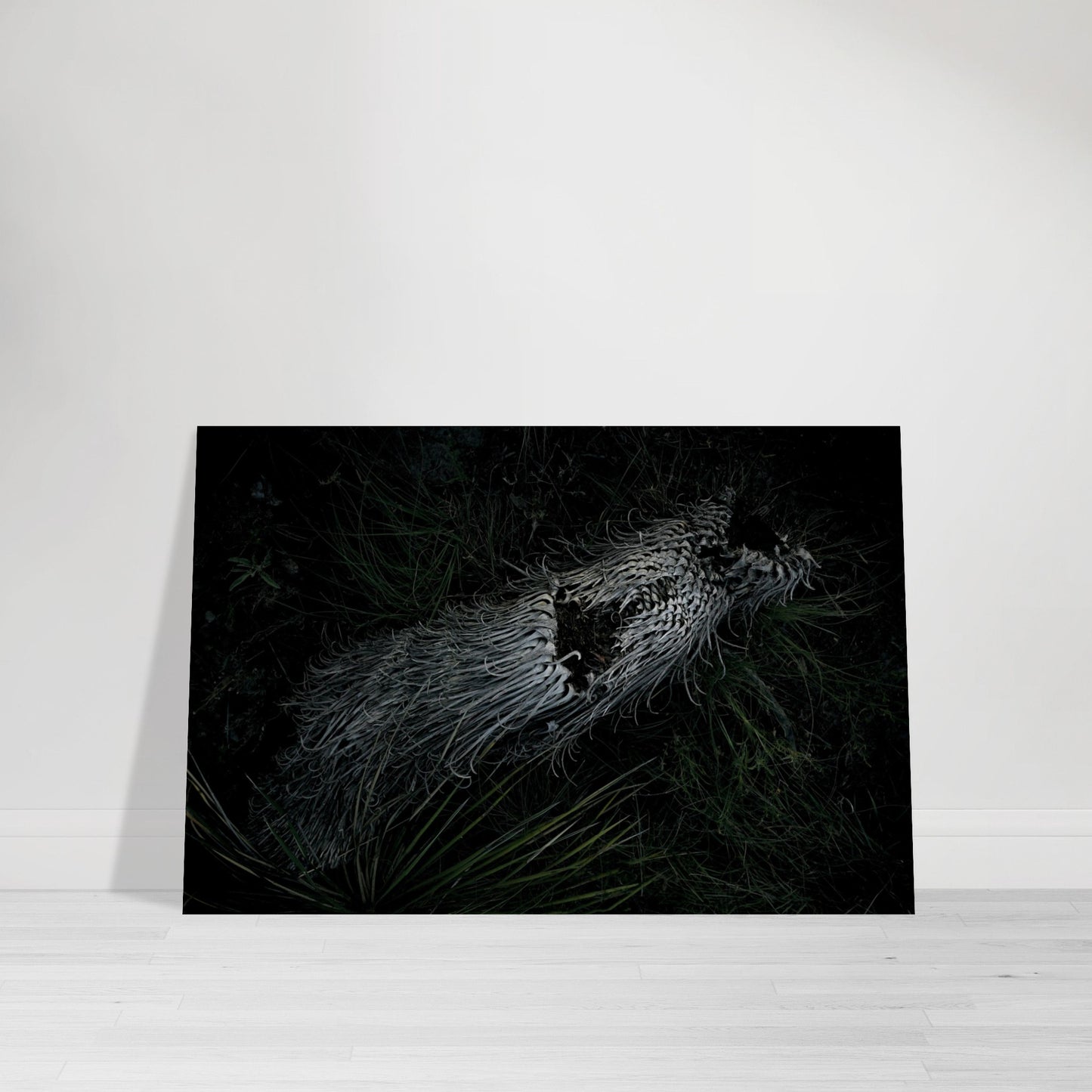 Black and White Photographic Print of abstract dead desert plant in Marfa Texas by Allison Cartwright at Found Art Studio.