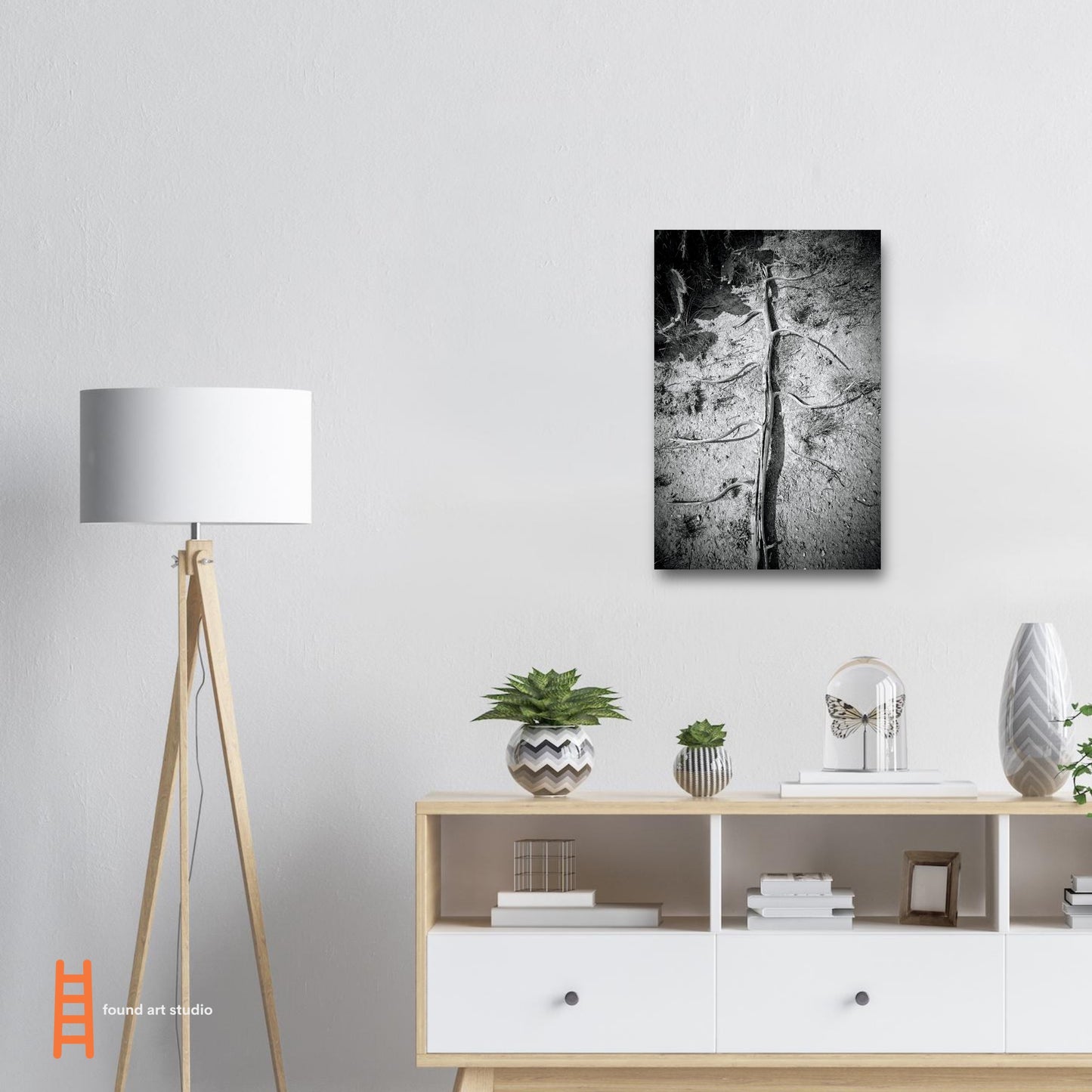 Black and White Photographic Print of abstract dead plant in Marfa Texas by Allison Cartwright at Found Art Studio.