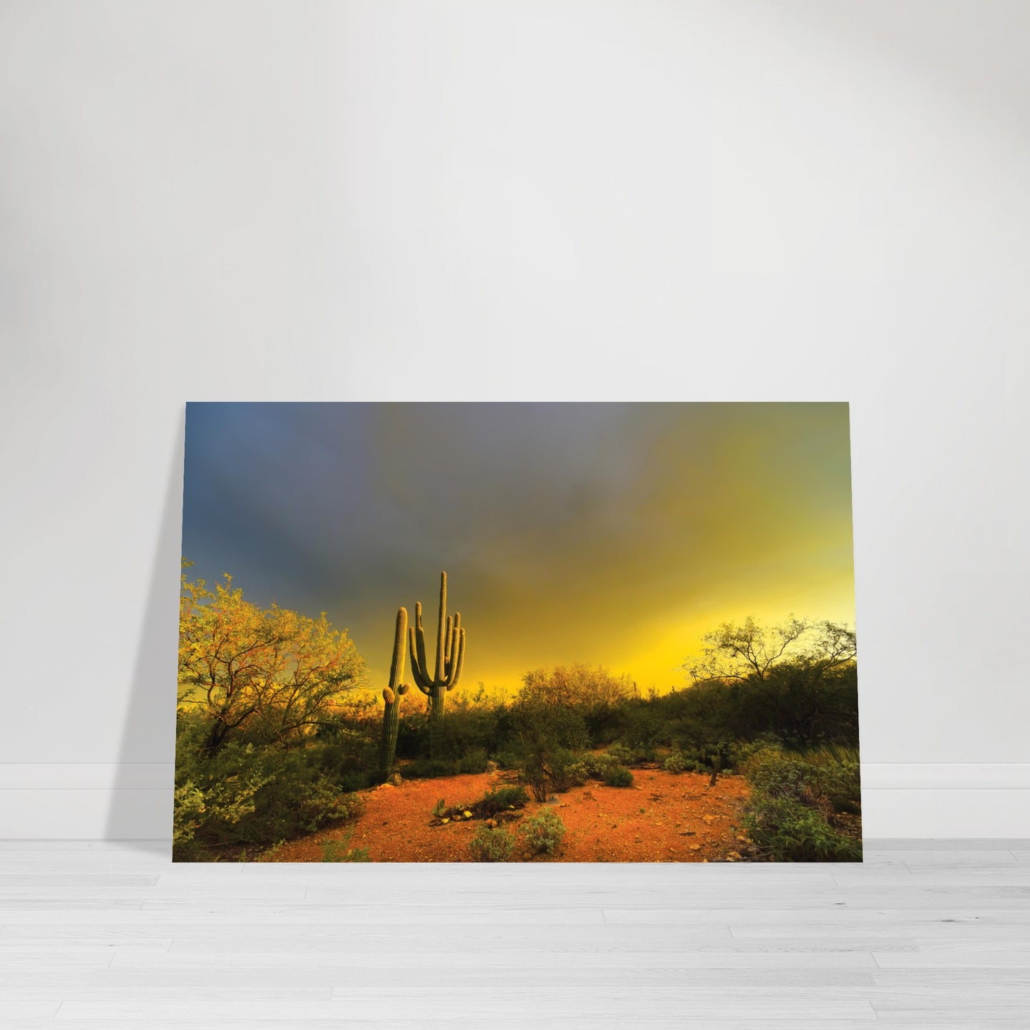 Photographic Print of Tucson Saguero Cactus at Sunset in Blue, Orange and Greenby Allison Cartwright Found Art Studio