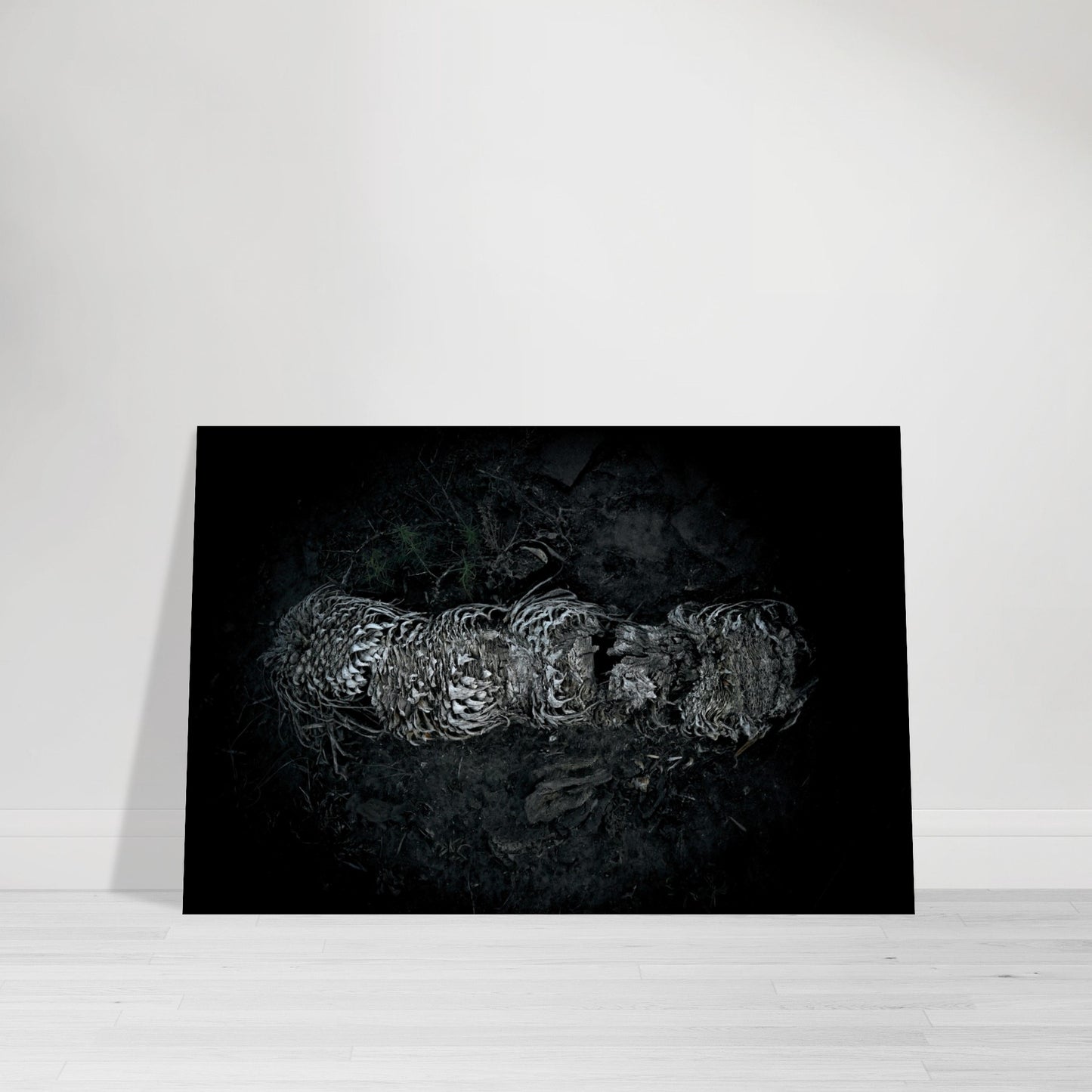 Black and White Photographic Print of abstract dead plant in Marfa Texas by Allison Cartwright at Found Art Studio.