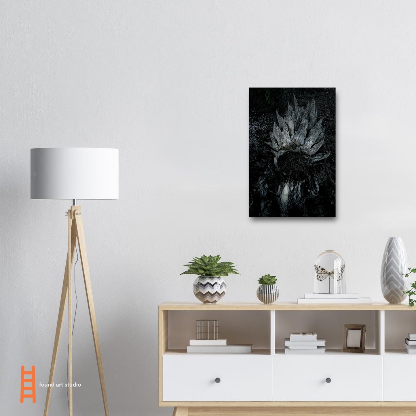 Black and White Photographic Print of abstract dead desert plant in Marfa Texas by Allison Cartwright at Found Art Studio.