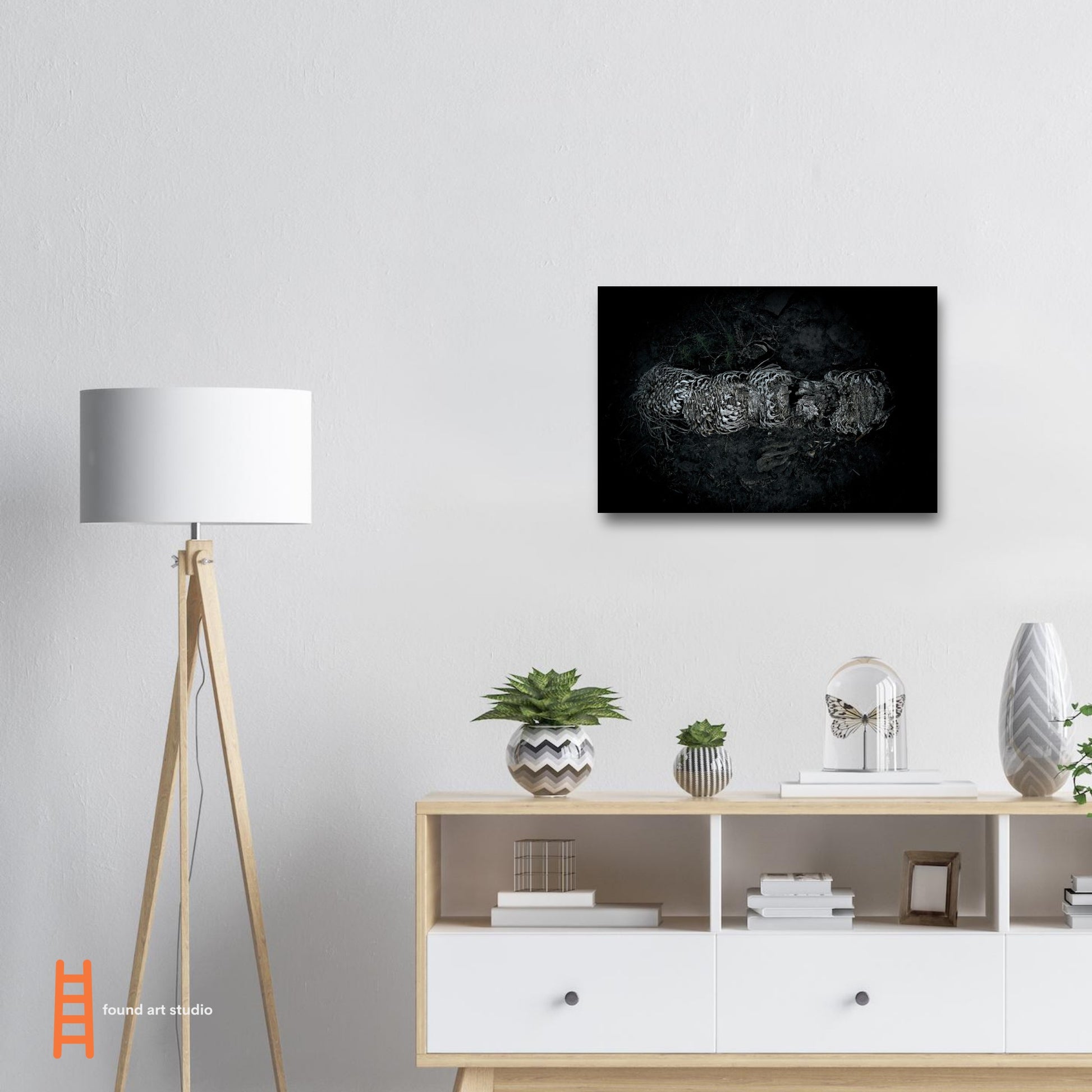 Black and White Photographic Print of abstract dead plant in Marfa Texas by Allison Cartwright at Found Art Studio.