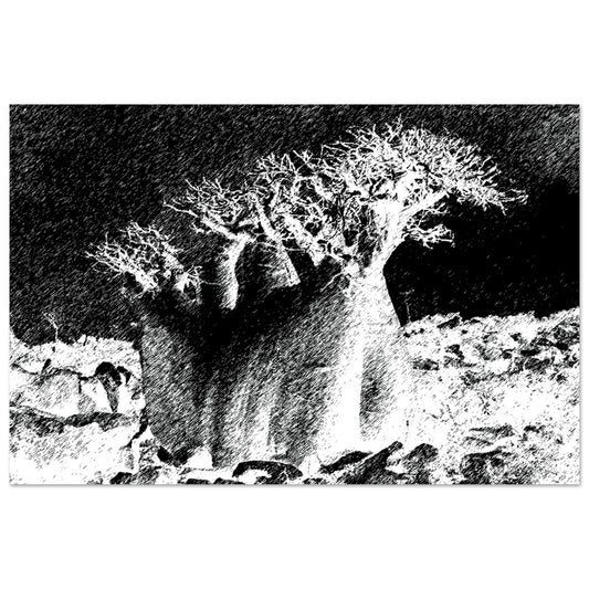Black and White Photographic Print of Original Scratch Art. Strange Rootball Plant. by Allison Cartwright at Found Art Studio