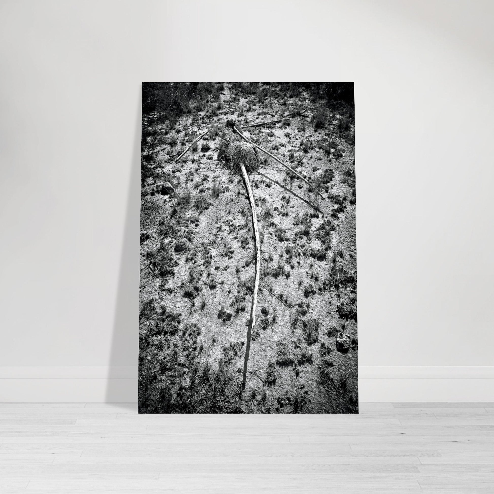 Black and White Photographic Print of abstract dead plant in Marfa Texas by Allison Cartwright at Found Art Studio.