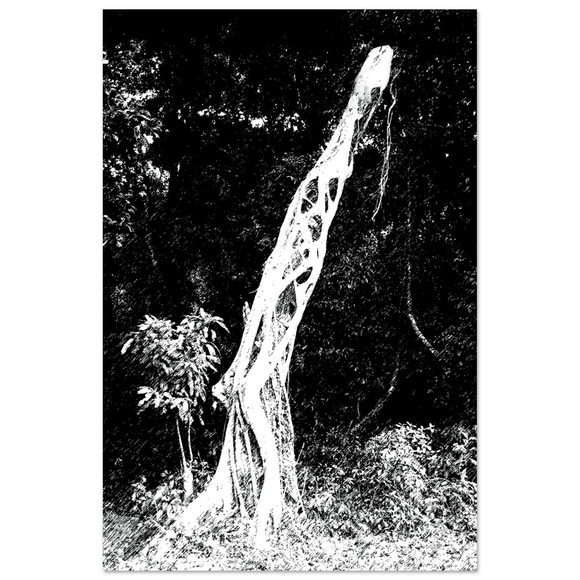 Black and White Photographic Print of Original Scratch Art. Strange Walking Plant. by Allison Cartwright at Found Art Studio