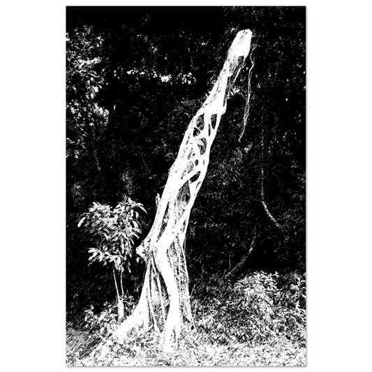 Black and White Photographic Print of Original Scratch Art. Strange Walking Plant. by Allison Cartwright at Found Art Studio
