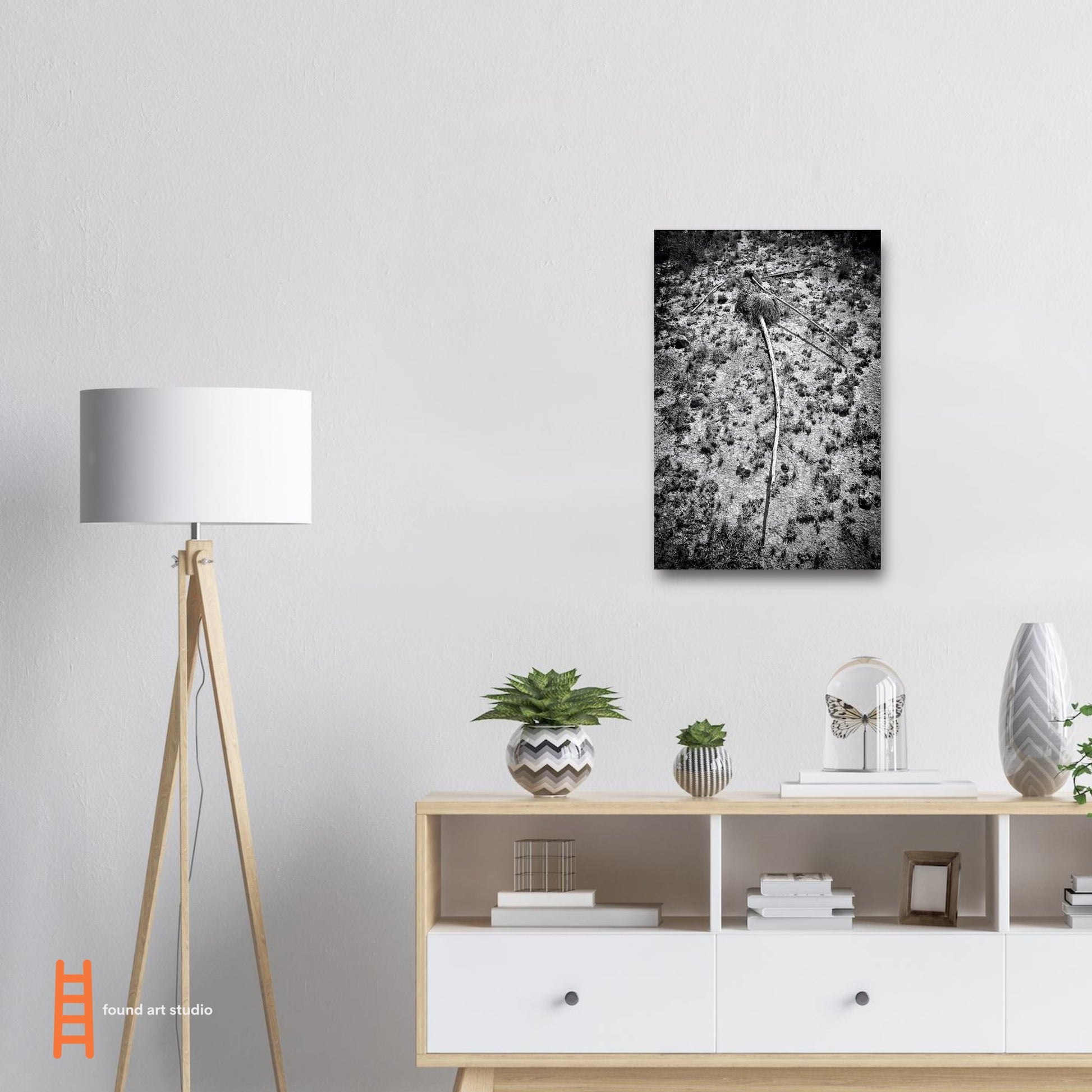 Black and White Photographic Print of abstract dead plant in Marfa Texas by Allison Cartwright at Found Art Studio.