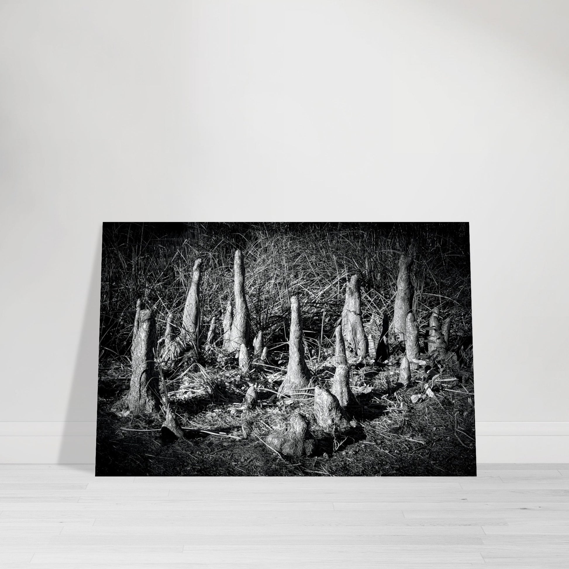 Black and White Photographic Print of abstract dead desert plant in Marfa Texas by Allison Cartwright at Found Art Studio.
