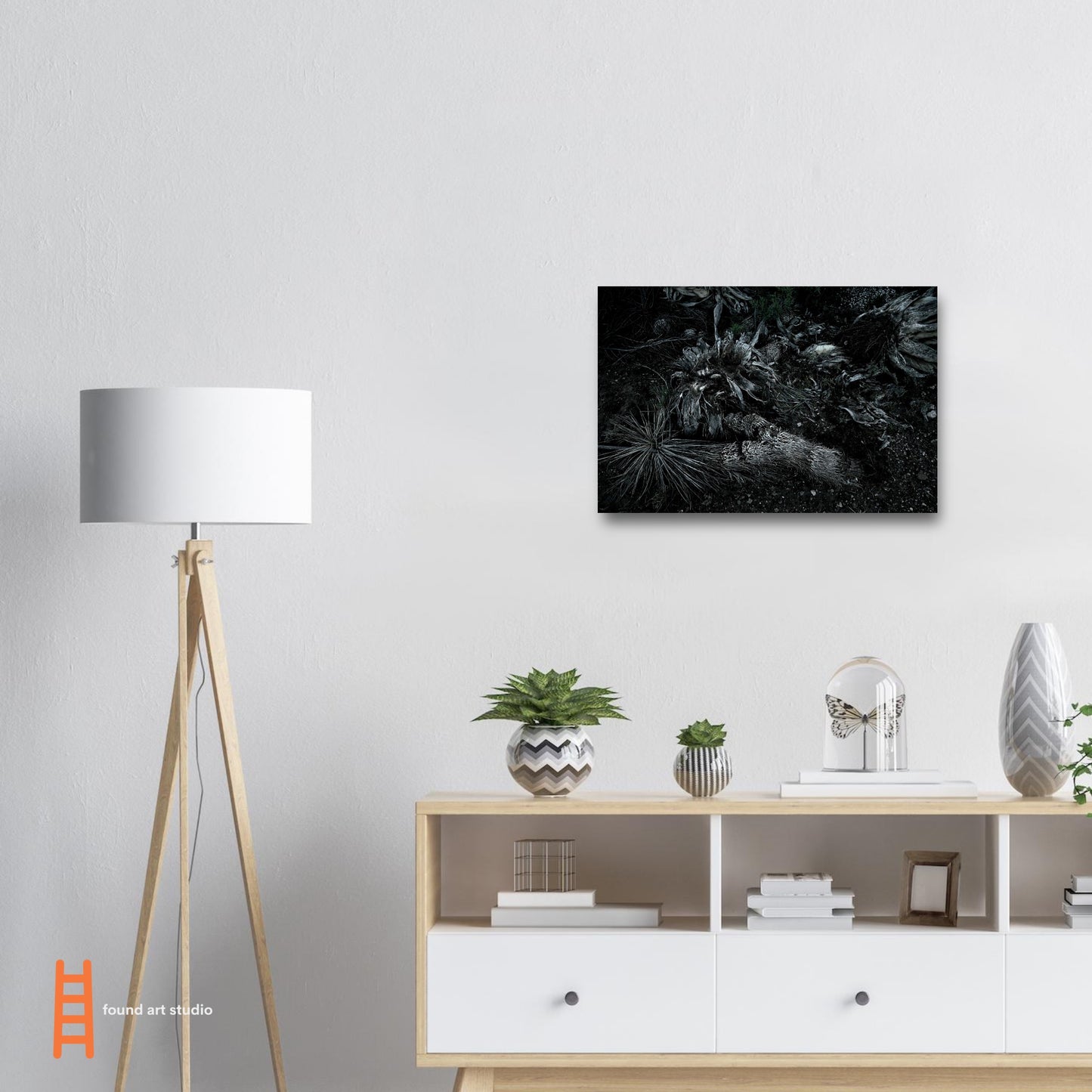 Black and White Photographic Print of abstract dead plant in Marfa Texas by Allison Cartwright at Found Art Studio.