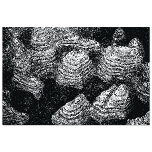 Black and White Photographic Print of Original Scratch Art. Strange Volcanic Formation. by Allison Cartwright at Found Art Studio