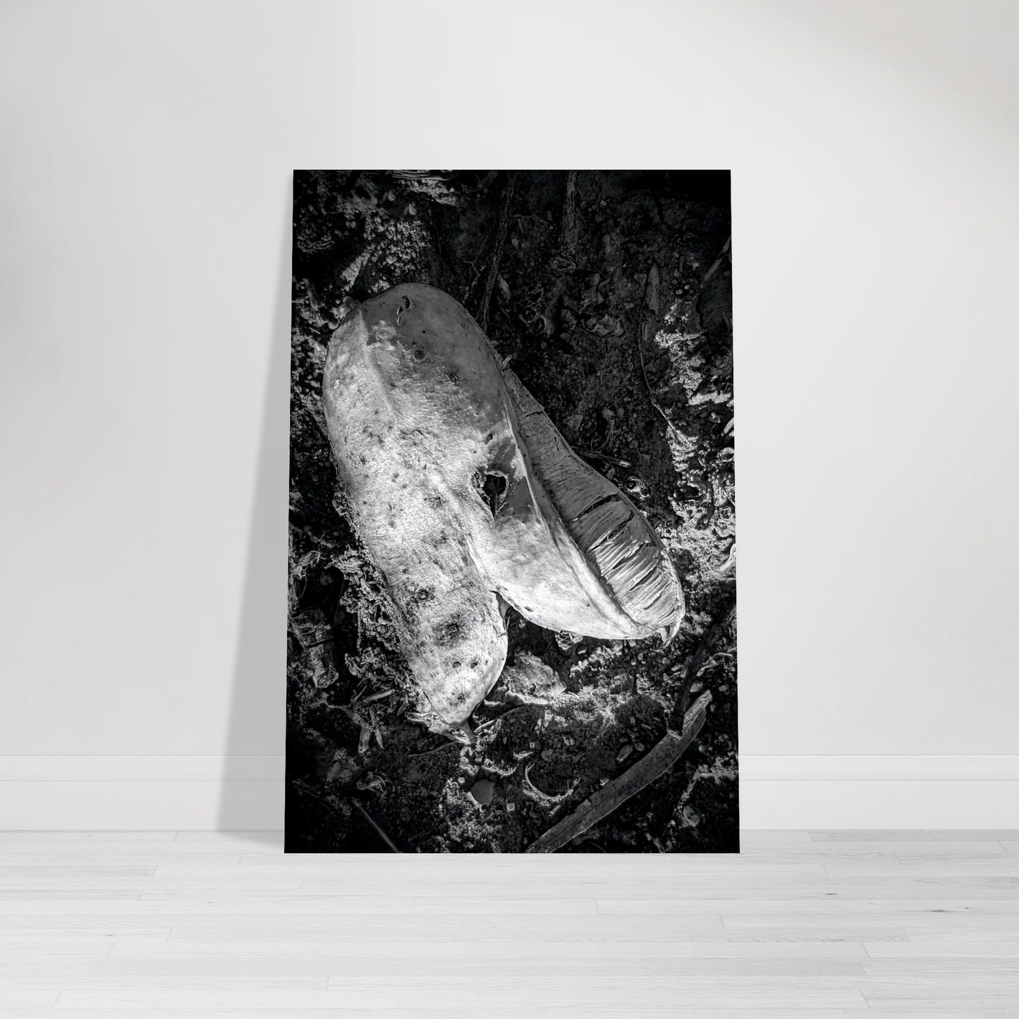 Black and White Photographic Print of abstract dead plant in Marfa Texas by Allison Cartwright at Found Art Studio.