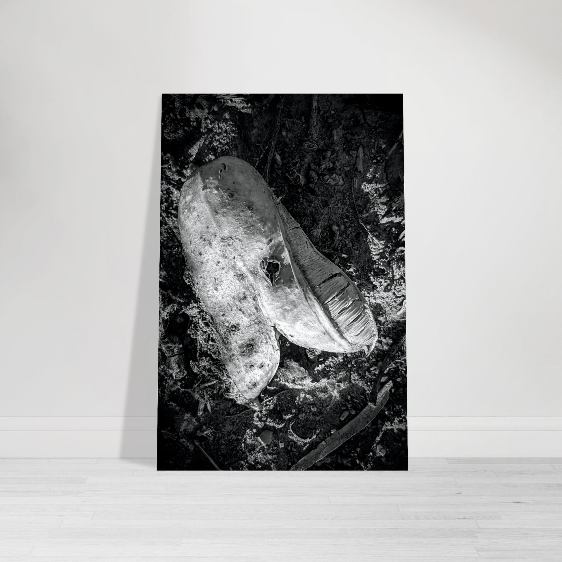 Black and White Photographic Print of abstract dead plant in Marfa Texas by Allison Cartwright at Found Art Studio.