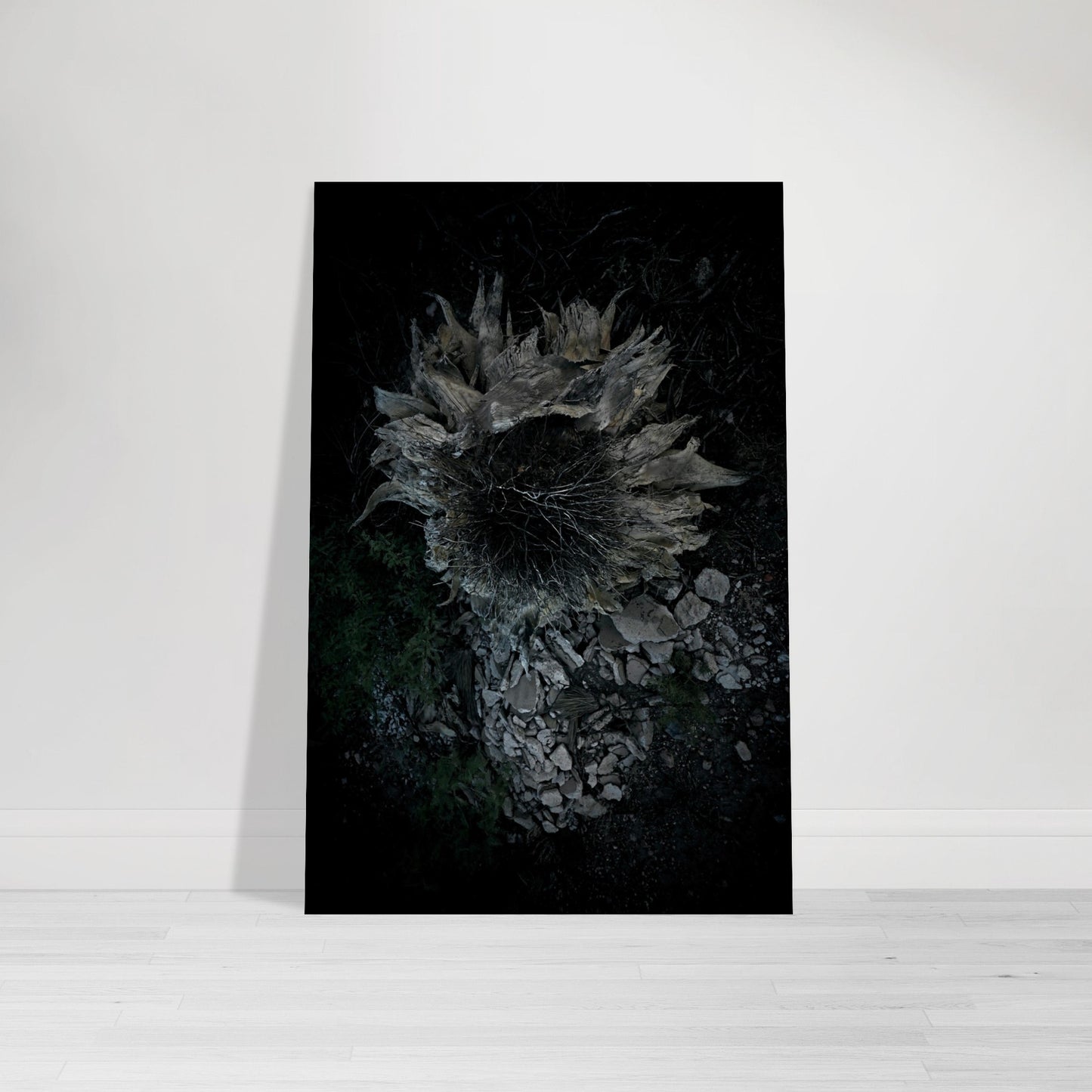 Black and White Photographic Print of abstract dead desert plant in Marfa Texas by Allison Cartwright at Found Art Studio.
