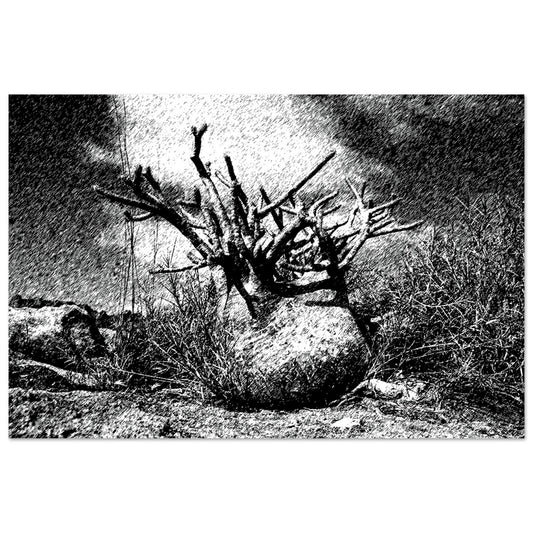 Black and White Photographic Print of Original Scratch Art. Strange Plant.  by Allison Cartwright at Found Art Studio
