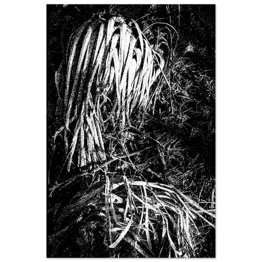 Black and White Photographic Print of Original Scratch Art. Strange Dead Desert Plant. by Allison Cartwright at Found Art Studio